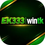 Ek333 game
